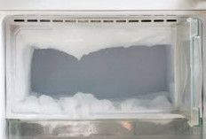 Tips Mudah Atasi dan Cegah Bunga Es di Freezer