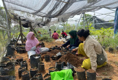 Srikandi Lestari Mandiri,  Perempuan Pelestari Hutan