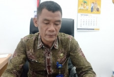 Kabupaten Bungo Buka Pendaftaran PPPK 2024 dengan 1.075 Formasi