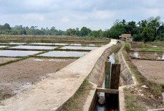 Lahan Cetak Sawah Terancam Kekeringan, Petani Dusun Aurgading Gelisah