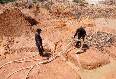 Dua Pelaku PETI Dicokok  Beraksi di Aliran Sungai Batang Rebah