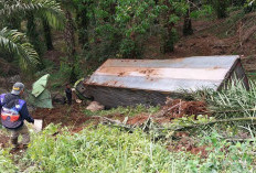 Rem Blong, Truk Tronton Terjun ke Jurang di Muara Emat
