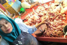 Harga Daging Ayam di Pasar Tradisional Naik 