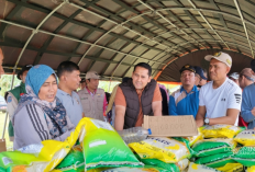 Bupati M. Syukur Serahkan Bantuan, Layani Masyarakat, dan Tinjau Potensi Daerah