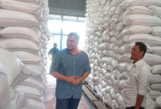 Targetkan Serapan Gabah Kering Capai 1.500 Ton