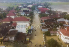BPBD Jambi Catat 2.570 Hektare Lahan Pertanian Terdampak Banjir