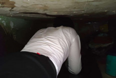 Razia Mendadak Bongkar HP Ilegal di Lapas Sarolangun, Satu WBP Ditempatkan ke Blok Khusus