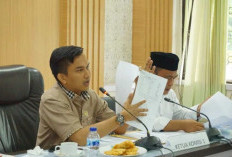 Komisi I Minta Penegakan Perda Dilakukan Konsisten