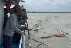 TNI AL Lanjutkan Pembongkaran Pagar Laut Tangerang, Masih Tersisa Sepanjang 5,26 Kilometer 