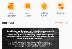 Server Down, Pelamar CPNS di Jambi Keluhkan Sulitnya Akses e-Materai