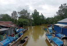  Nelayan Khawatir Ombak Mulai Tinggi,  Hasil Tangkapan Ikan di Tanjab Timur Berkurang