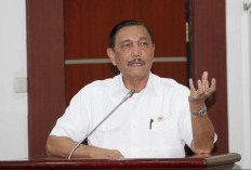 Purbaya Tolak Proyek Luhut 