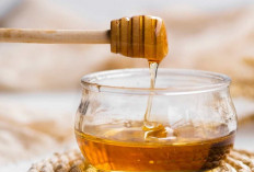7 Manfaat Minum Madu dengan Air Hangat, Baik untuk Daya Tahan Tubuh