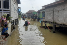 Status Tanggap Darurat Banjir Masuk Siaga II, Begini Penjelasan Dinas Damkar dan Penyelamatan Kota Jambi