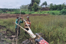 Kodim 0416/Tebo Buka Lahan Ketahanan Pangan Terpadu 