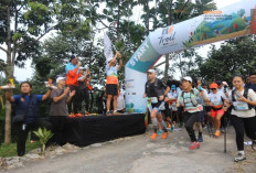 IIF Trail Run 2024 di Sentul Kombinasikan Olahraga dan Keindahan Alam