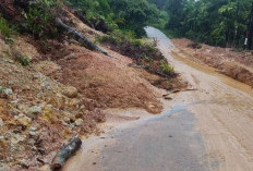 Langganan Longsor, Warga Minta Turab