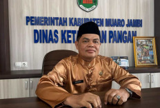 Muaro jambi Masuk Zona Hijau, Dalam Kategori Tahan Pangan