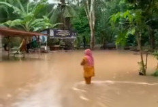 299 KK Jadi Korban Banjir, Pemkab Muaro Jambi Beri Bantuan