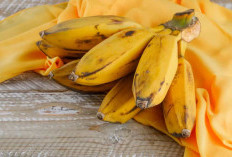 Tips Simpel untuk Menyimpannya Agar Lebih Tahan Lama!