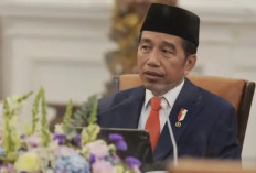 Jokowi Buka Suara Soal wancana PDIP Menjadi Oposisi Prabowo-Gibran 