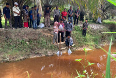 Desa Mekar Sari, Desa Percontohan Lubuk Larangan untuk Lindungi DAS Tebo