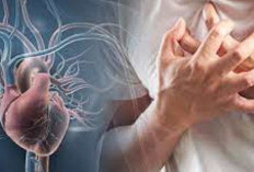 Herbal Alami Obati Penyakit Jantung Koroner 