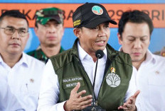 Tren Karhutla Menurun, Menhut: Jangan Lengah 