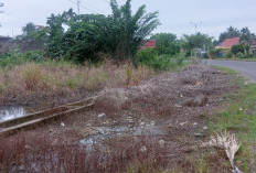 Antisipasi Kerusakan Drainase, Waspada Memasuki Musim Penghujan