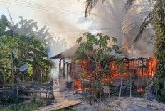 Rumah di Desa Mencolok Tanjab Timur Ludes, Diduga Akibat Korsleting Listrik