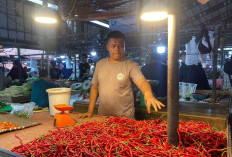 Harga Cabe Tembus Rp 100 Ribu, Mentan Pastikan Segera Tekan Harga Cabai 