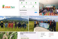 Fakultas Pertanian UNJA Luncurkan Inovasi Digital UnjaTani