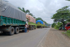 Antrean Truk Batu Bara Capai 5 Km, Jembatan Bailey Hanya Boleh Dilalui Kendaan Maksimal 20 Ton 