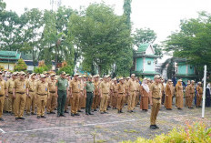 Gubernur Jambi Ajak Bersinergi, Wujudkan Swasembada Pangan dan Visi Indonesia Emas 2045