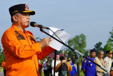 Status Karhutla Jambi Naik Minggu Ini, Resiko Karhutla Semakin Tinggi 