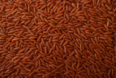 Beras Merah Dianggap Lebih Aman untuk Penderita Diabetes, Ini Penjelasan Lengkapnya