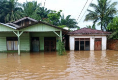 Antisipasi Banjir Rob di Tanjab Timur, BPBD Surati Pihak Kecamatan dan Menyiagakan Perahu Karet