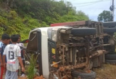 Diduga Rem Blong, Mobil PLN Kerinci Terbalik, Tujuh Pegawai Alami Luka-luka