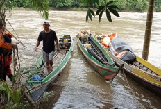 Satu Personel Basarnas Hanyut, Perahu Terbalik saat Pencarian Orang Hanyut di Sungai Batang Merangin