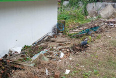 Pihak Sekolah Khawatir Terulang, Pagar Belakang SMAN 5 Kota Jambi Ambruk