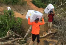 Petugas Harus Pikul Logistik Pemilu, untuk Bisa Tiba di Dusun Renah Jelmu Bungi