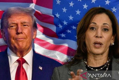 Harris Unggul dari Trump di 6 Negara Bagian Penting