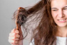 Simak! 5 Tips Agar Rambut Tidak Mudah Kusut Dimalam Hari