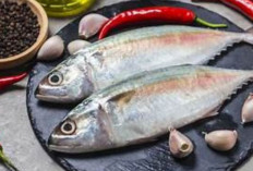 Ini Dia Ikan yang Baik Dikonsumsi Penderita Diabetes, Ada Ikan Tongkol dan Sarden