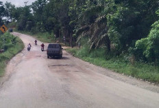 Jalan Lintas Tebo Rimbo Bujang Memprihatinkan
