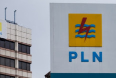 PLN Pasang Target Ambisius, Penjualan Listrik 2025 Diproyeksikan Capai 327,7 TWh