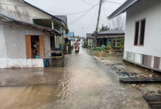 Pemukiman Warga Terdampak Luapan Air Sungai