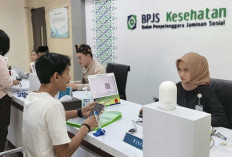 Kadin Minta Pemerintah Pertimbangkan Kembali, Terkait Rencana Kenaikan Iuran BPJS Kesehatan