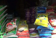 Beras Medium di Muaro Jambi Langka, Akibat Kasus Beras Oplosan
