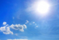 Cara Cek Suhu Real Time Lewat Situs dan Aplikasi BMKG